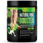 BactoUP NaturalPool Booster 500g